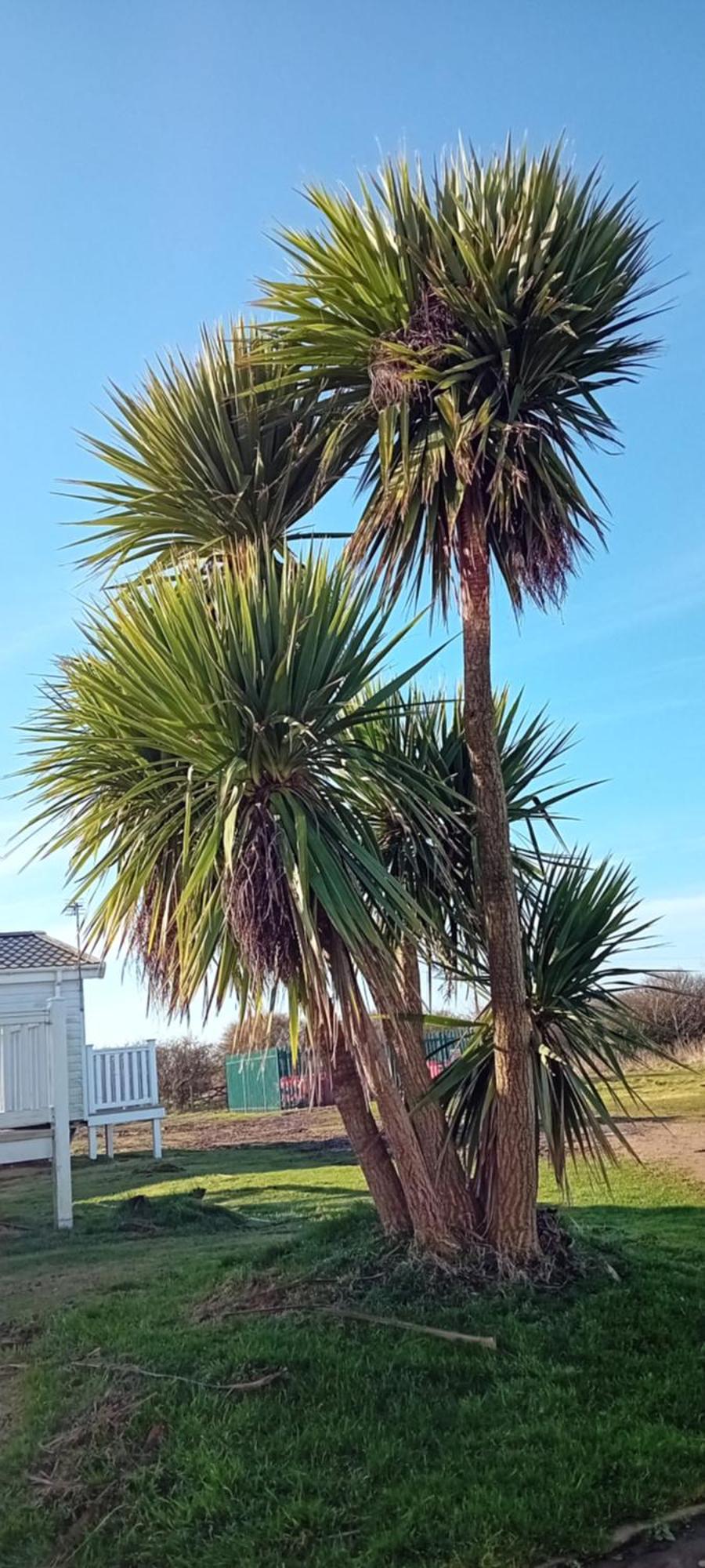 ホテル Roseanna Retreat Barmston Beach Parkdean Holiday Park エクステリア 写真